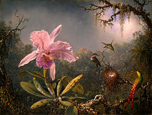 Martin Johnson Heade