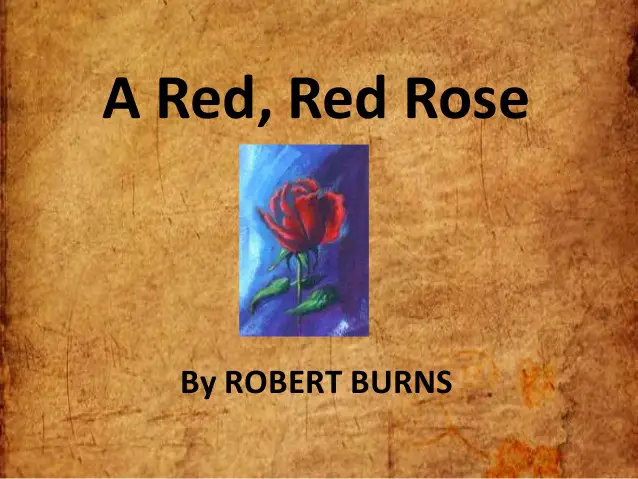 A Red, Red Rose by Robert Burns