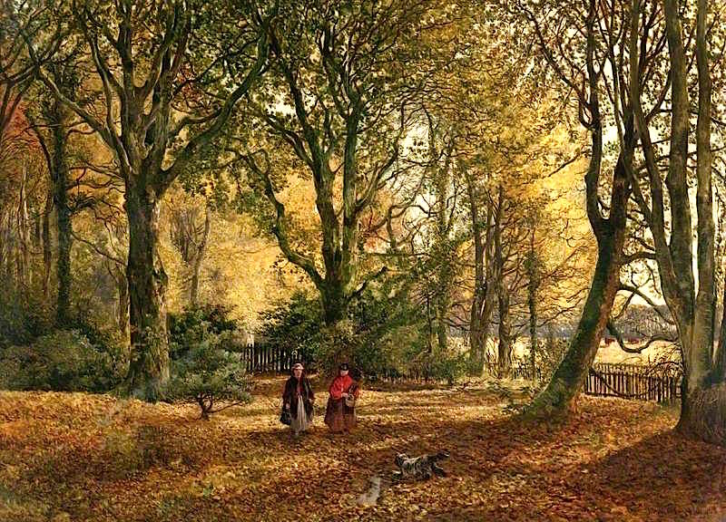 John Milne Donald Autumn leaves