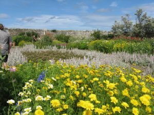 Gertrude Jekyll Garden, Lindisfarne