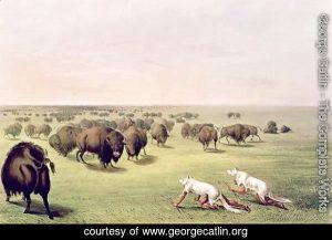 George Catlin