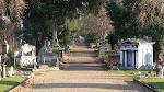 Victorian Cemeteries