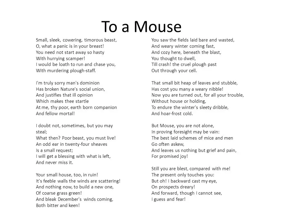 Lyrics of To a Mouse
