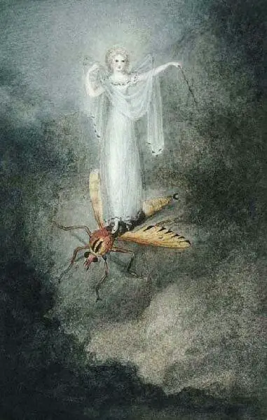 One of the fairy paintings by Emily