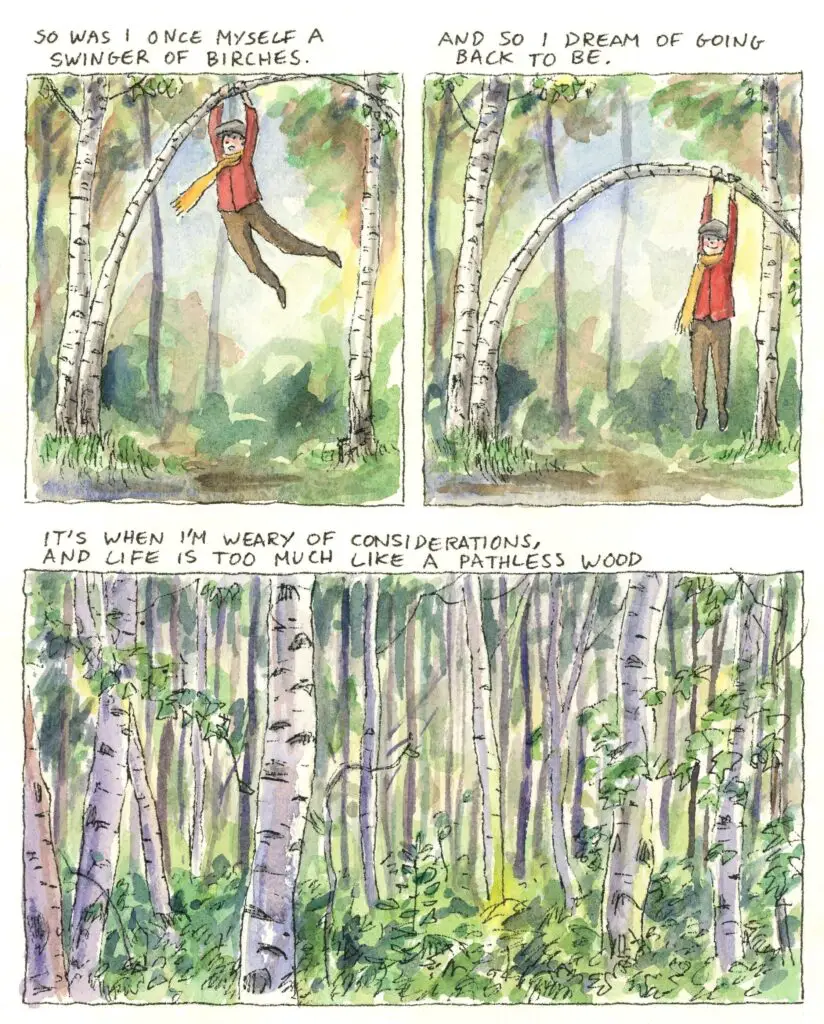 swinger of birch trees