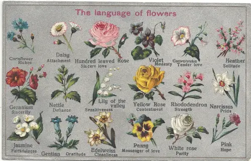 Flower Symbolism Chart