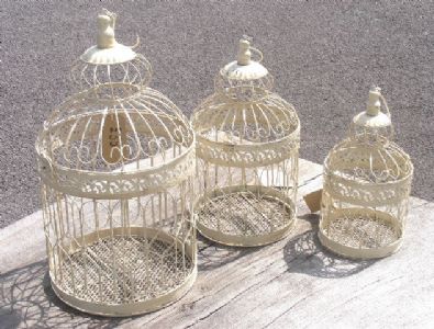 victorian bird cages