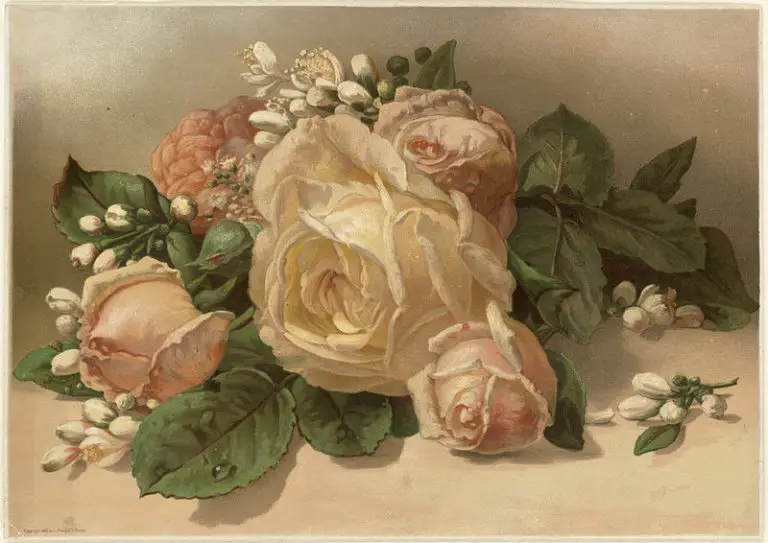 Victorian Flower Language, Cryptological Communication and Floriography