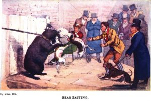Victorian era bear baiting