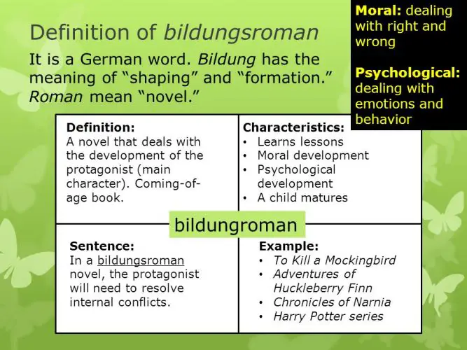 Bildungsroman Genre, The Course of the Novel, Psychological and Social ...