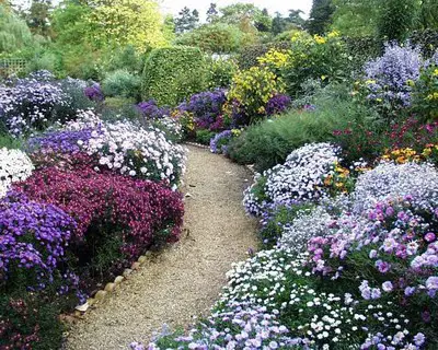 edwardian-era-garden