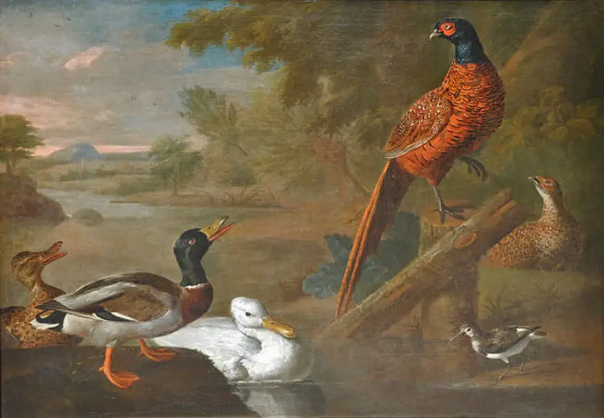 Pheasants Mallards and a Lapwing in a river landscape