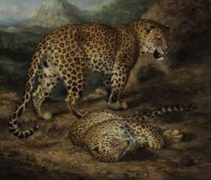 Two Leopards Chester Williamhuggins