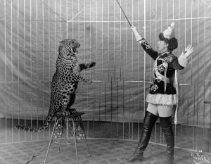 victorian circus with tigers