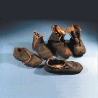 victorian shoes